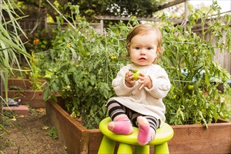 Caucasian baby girl sitting on stool in vegetable garden