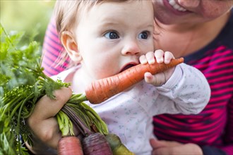Caucasian baby girl playing with fresh carrot
