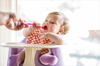 Caucasian baby girl eating from spoon in high chair