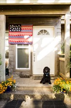 Dog sitting on front porch