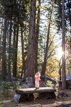 Caucasian baby girl standing on picnic table in forest