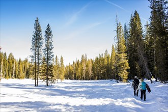 Hikers walking in snowy forest