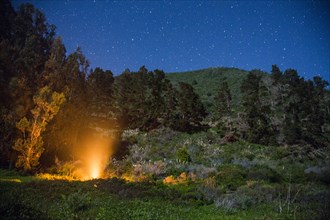 Campfire at night under starry sky