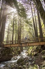 Caucasian man running on bridge over forest stream