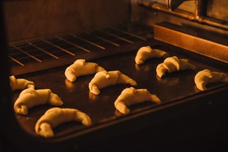 Close up of rolls baking in oven