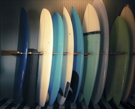 Surfboards standing in rack