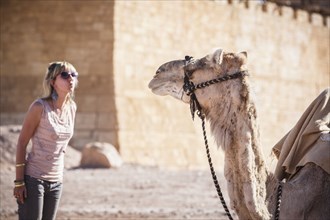 Caucasian woman admiring camel