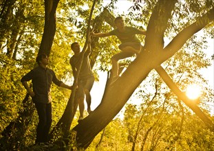 Caucasian men climbing tree in forest