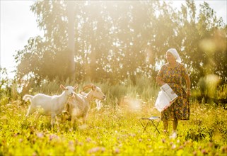 Caucasian woman tending goats in field