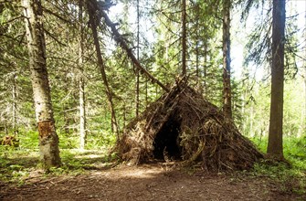 Thatched teepee fort in forest