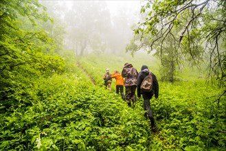 Caucasian hikers walking in misty forest