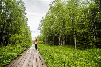 Caucasian hiker on wooden walkway in forest