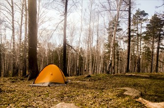 Tent at campsite in rural forest