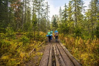Caucasian hikers walking on forest path