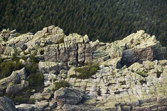 Rocky cliffs over forest treetops in remote landscape