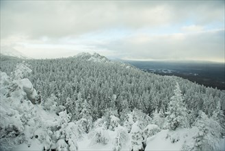 Aerial view of snowy forest in remote landscape