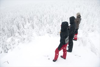 Caucasian hikers on mountaintop admiring snowy forest