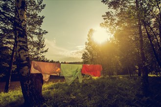 Clothesline hanging in rural field