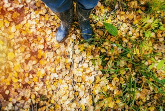 High angle view of woman standing in autumn leaves