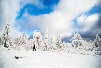Hiker walking in snowy forest
