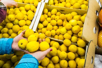 Hands of woman holding lemons from box