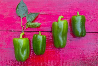 Close up of row of green peppers on red wooden table