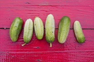 Close up of row of green cucumbers on red wooden table