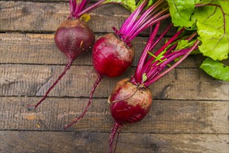 Fresh beets on wooden table
