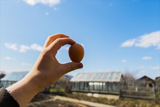 Hand holding fresh egg on farm