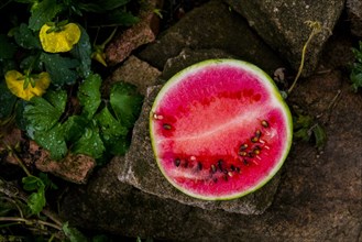 Watermelon slice on rock