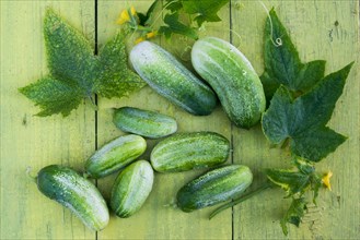 Green cucumbers and leaves on wooden table