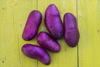 Purple potatoes on wooden table