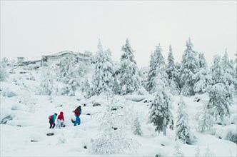 Caucasian friends hiking in snowy forest