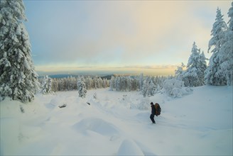 Caucasian man hiking in snowy forest at sunset