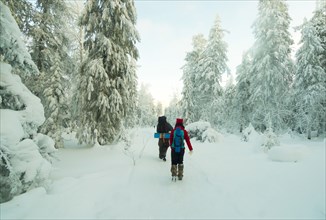 Caucasian couple hiking in snowy forest