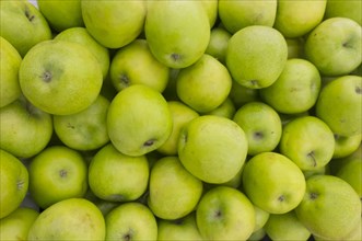 Pile of green apples