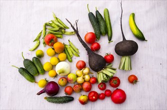 Variety of vegetables on table