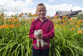 Caucasian boy holding chicken on farm