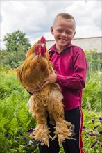 Caucasian boy holding rooster on farm