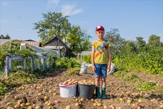 Caucasian boy standing on farm with buckets of potatoes