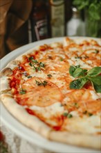 Gourmet pizza with basil on plate