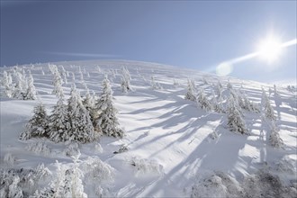 Snow on sunny mountain