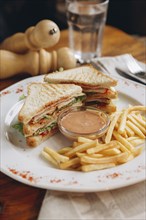 Sandwich with french fries on plate