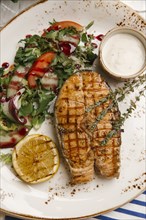 Grilled fish and salad on plate with sauce