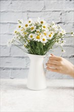 Hand holding vase of flowers