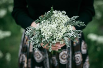 Hands of Caucasian woman holding wildflowers
