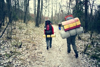 Backpackers walking in winter forest