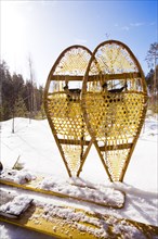 Close up of snowshoes and skis in snowy field