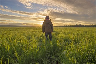 Mari boy admiring sunset in rural field