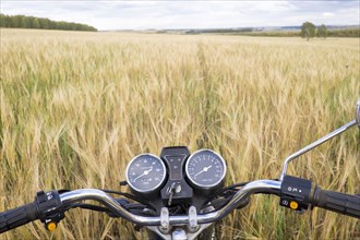 Motorcycle handlebar in tall grass